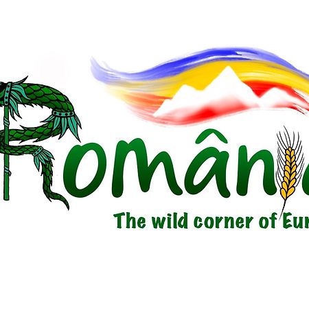 Villa Rihuini Eco Wine House Transylvania Richisu Bagian luar foto