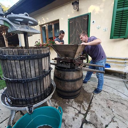 Villa Rihuini Eco Wine House Transylvania Richisu Bagian luar foto
