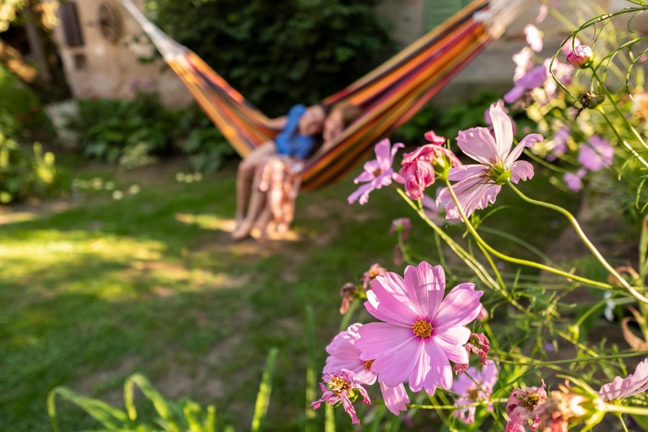 Villa Rihuini Eco Wine House Transylvania Richisu Bagian luar foto