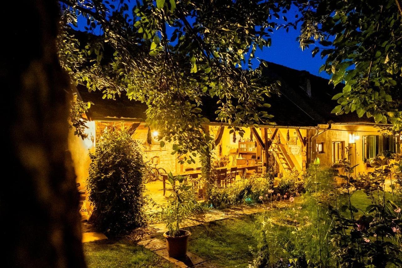 Villa Rihuini Eco Wine House Transylvania Richisu Bagian luar foto