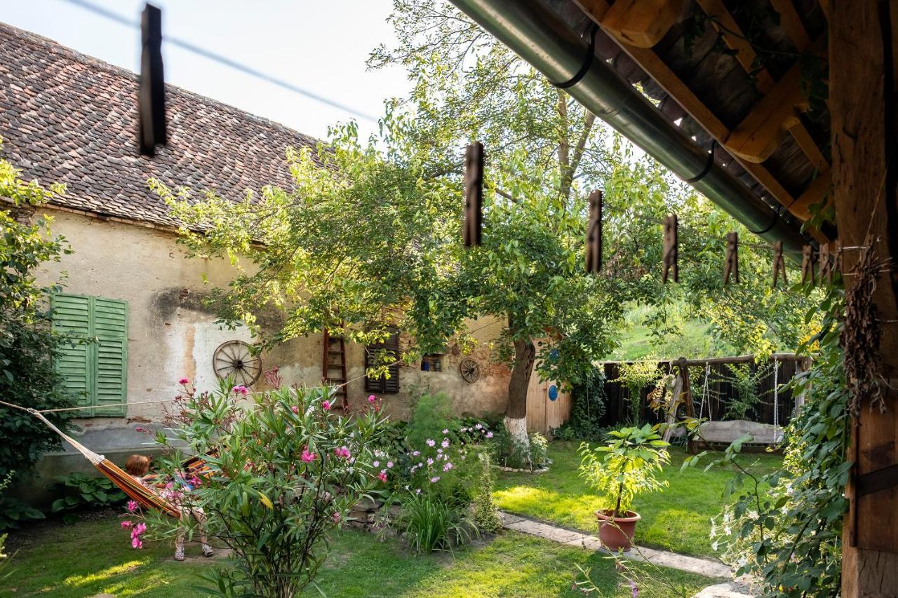 Villa Rihuini Eco Wine House Transylvania Richisu Bagian luar foto