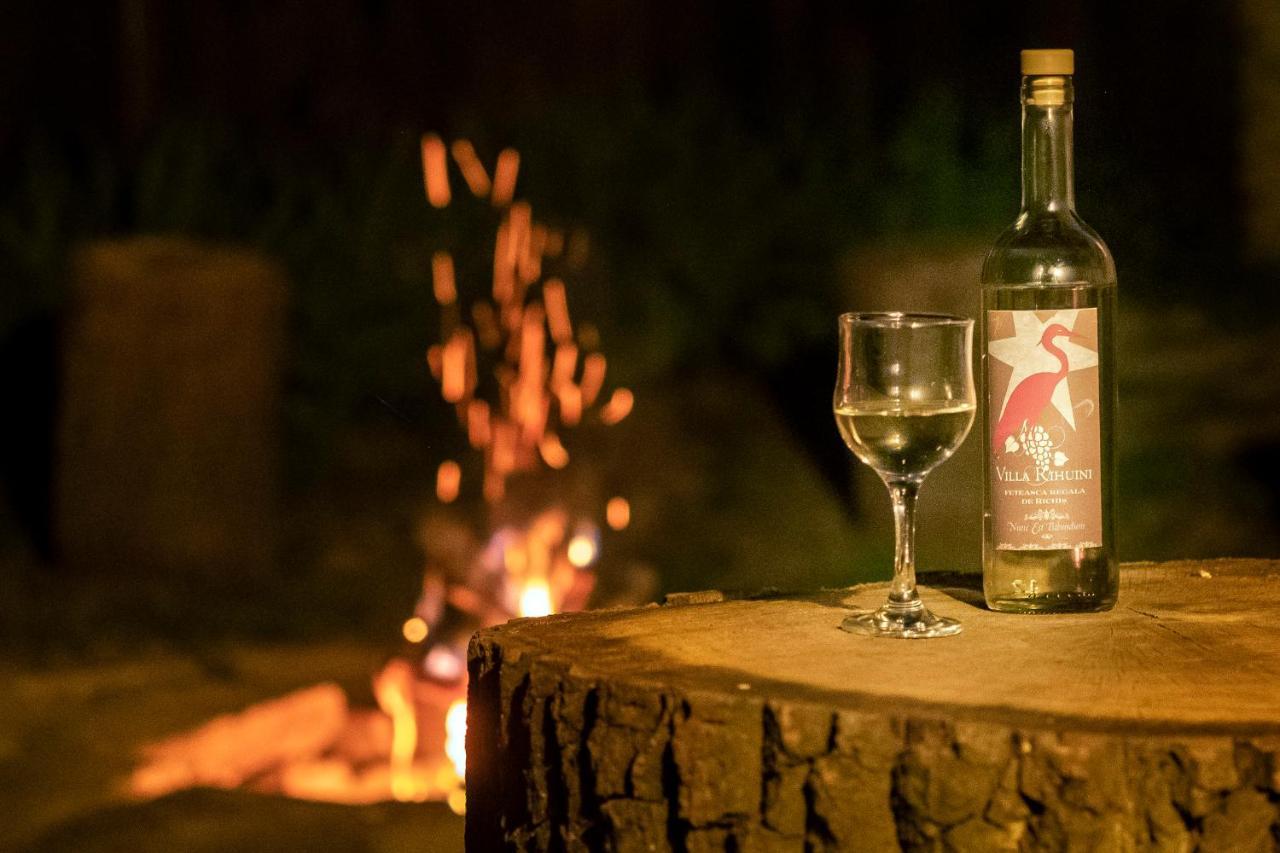 Villa Rihuini Eco Wine House Transylvania Richisu Bagian luar foto