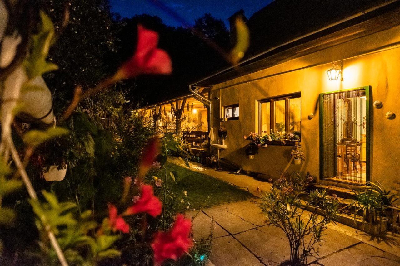 Villa Rihuini Eco Wine House Transylvania Richisu Bagian luar foto