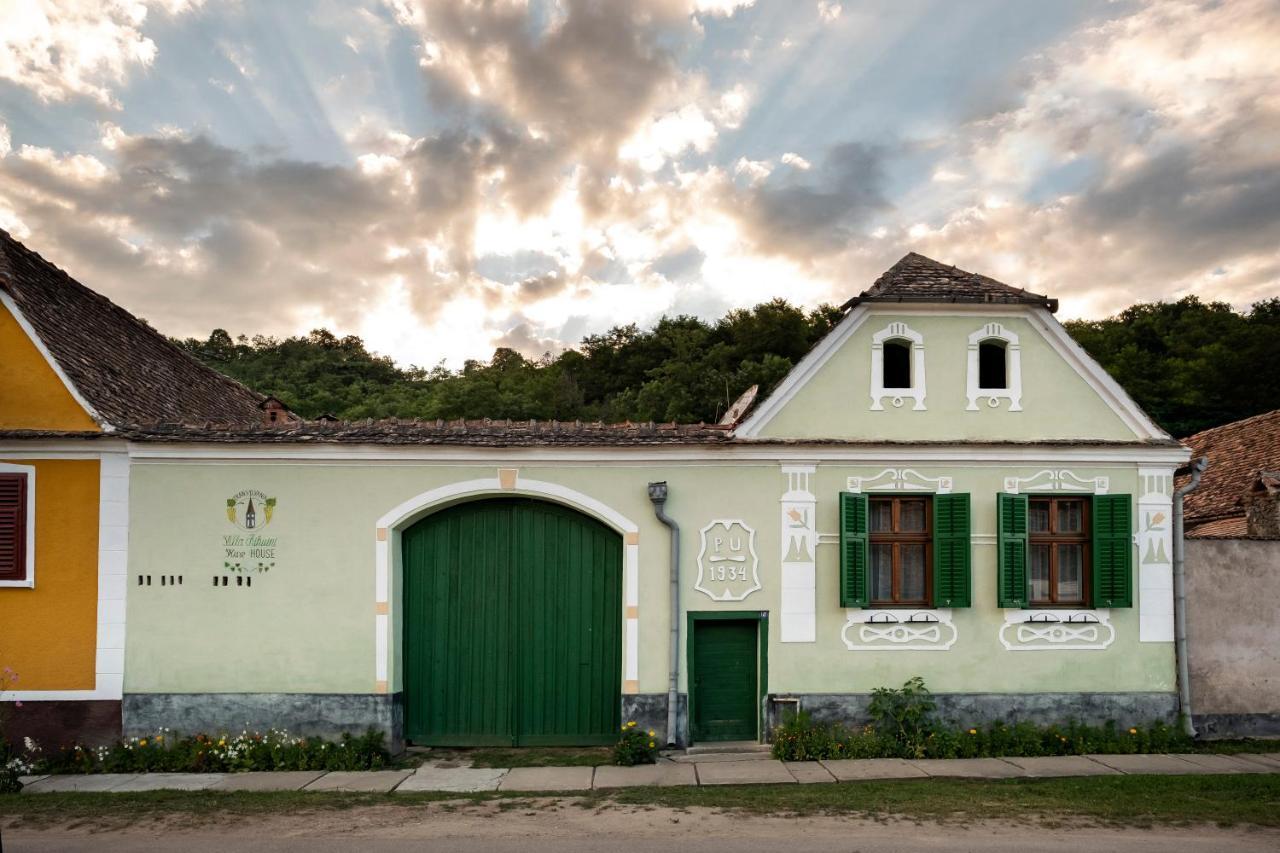 Villa Rihuini Eco Wine House Transylvania Richisu Bagian luar foto