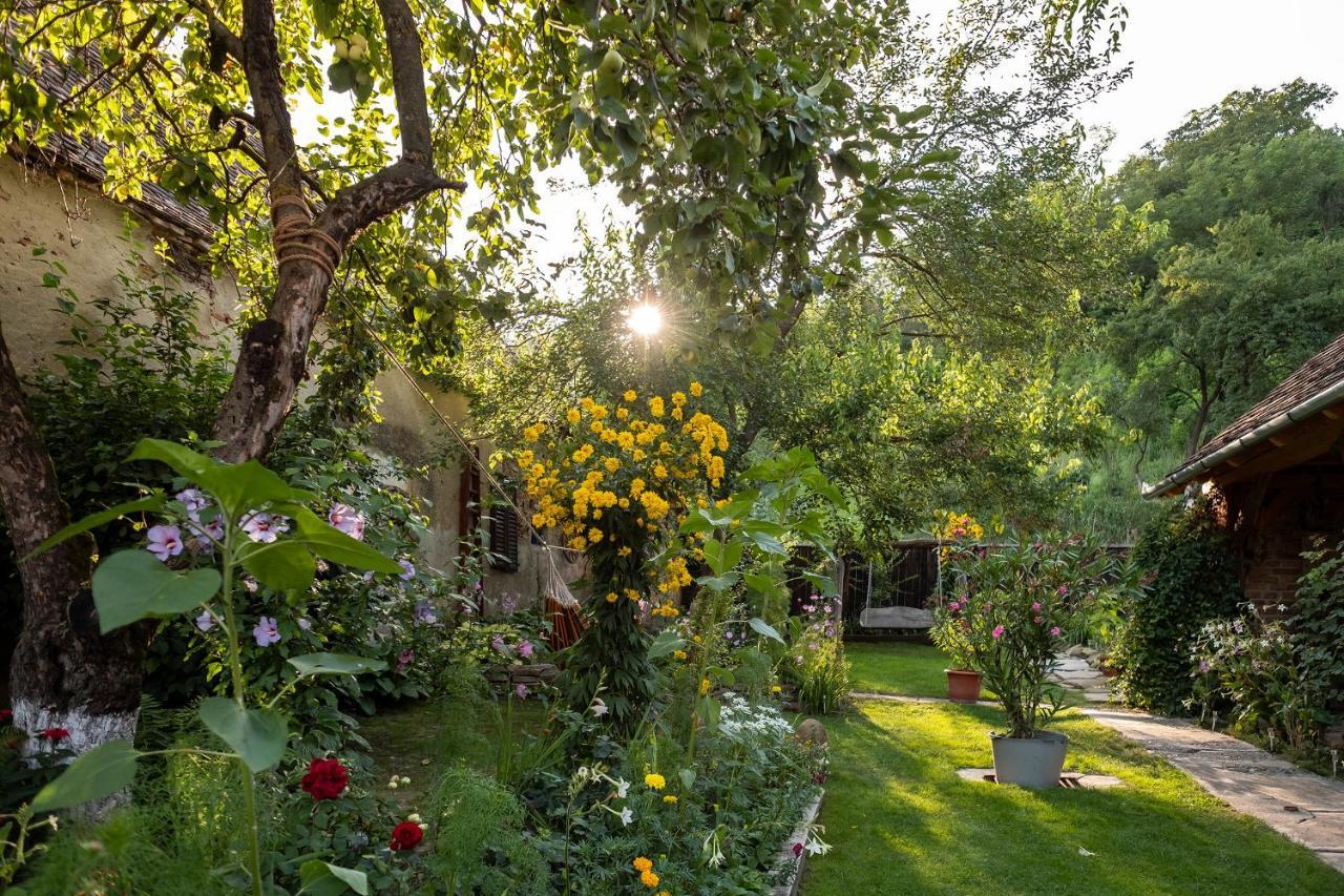 Villa Rihuini Eco Wine House Transylvania Richisu Bagian luar foto