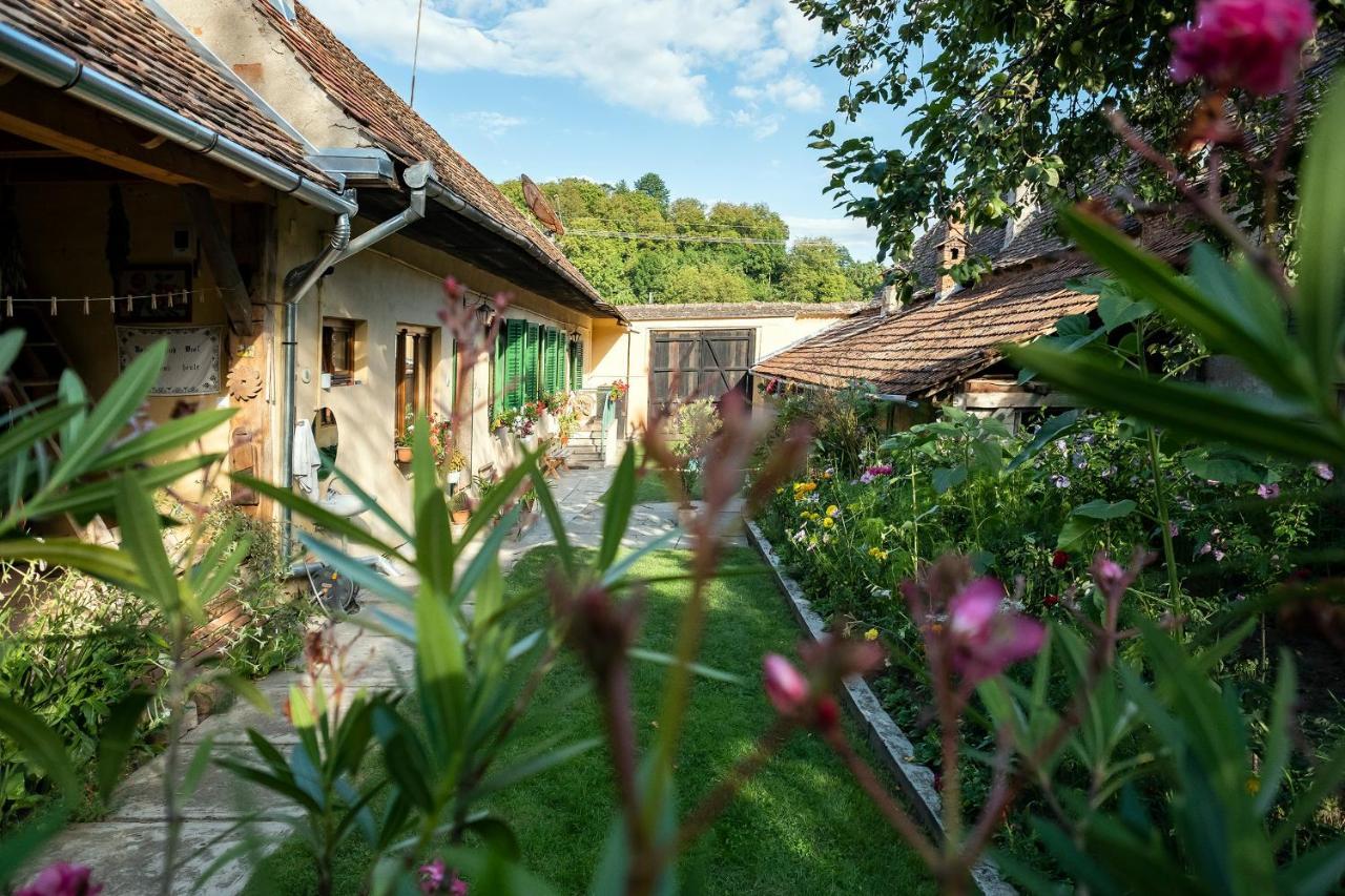 Villa Rihuini Eco Wine House Transylvania Richisu Bagian luar foto