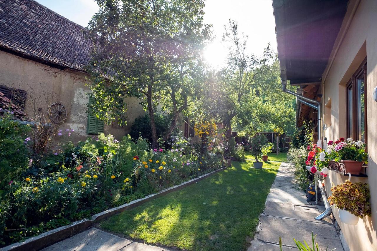Villa Rihuini Eco Wine House Transylvania Richisu Bagian luar foto