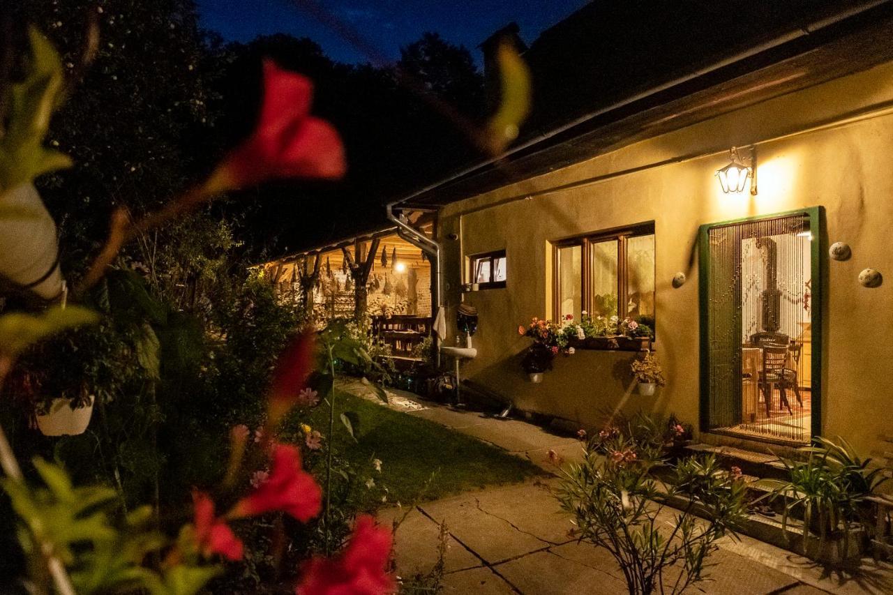 Villa Rihuini Eco Wine House Transylvania Richisu Bagian luar foto