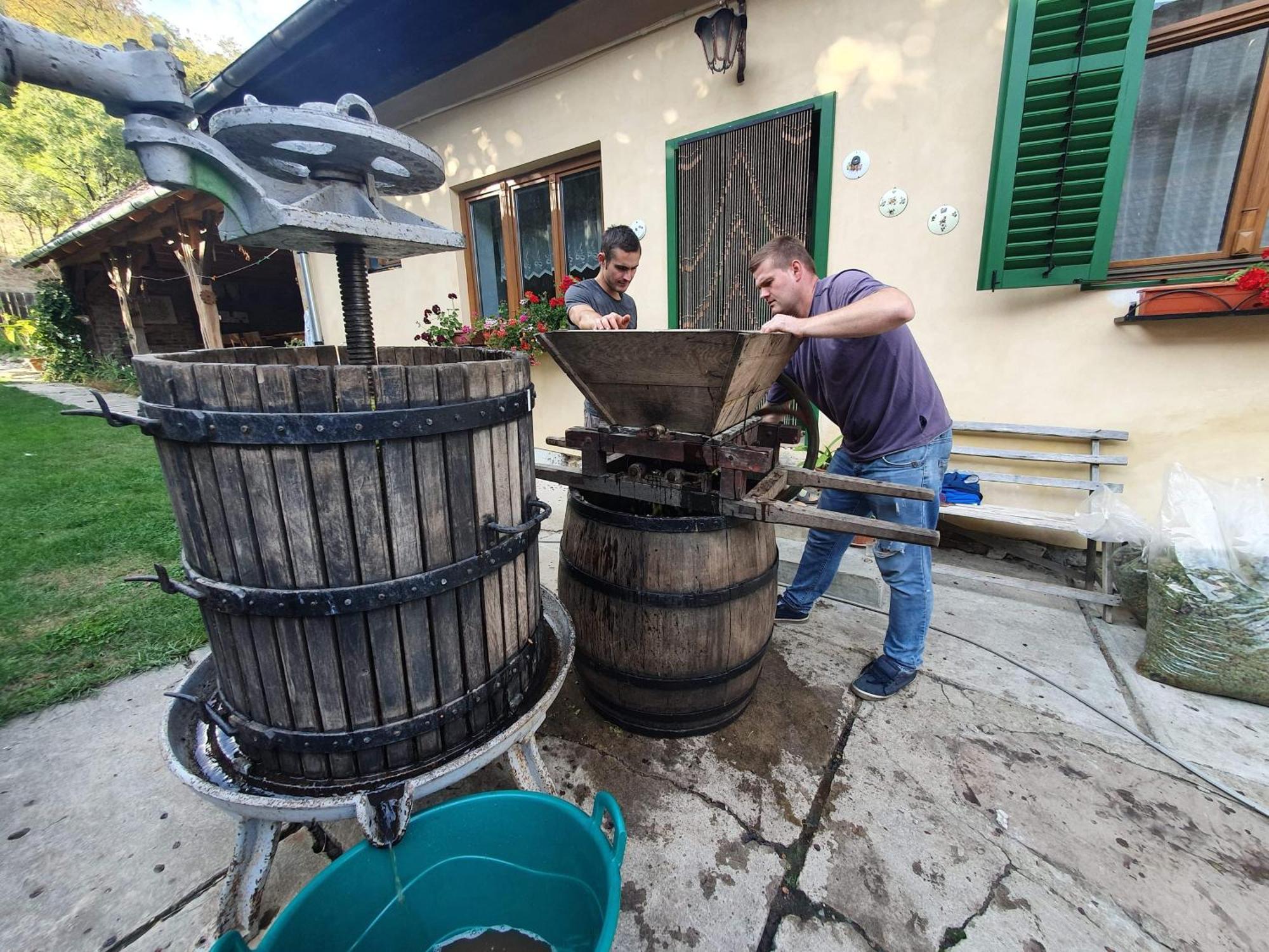 Villa Rihuini Eco Wine House Transylvania Richisu Bagian luar foto