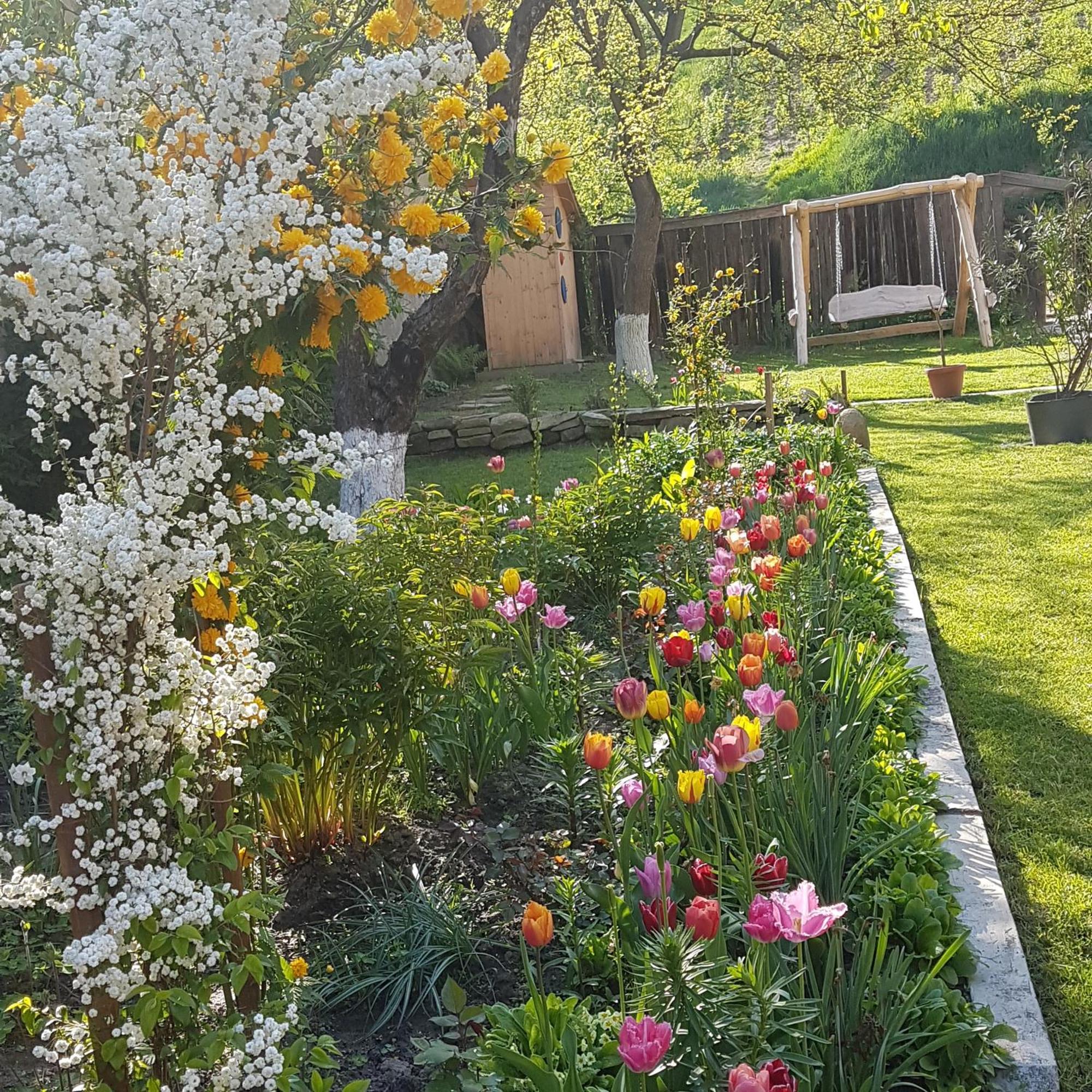 Villa Rihuini Eco Wine House Transylvania Richisu Bagian luar foto